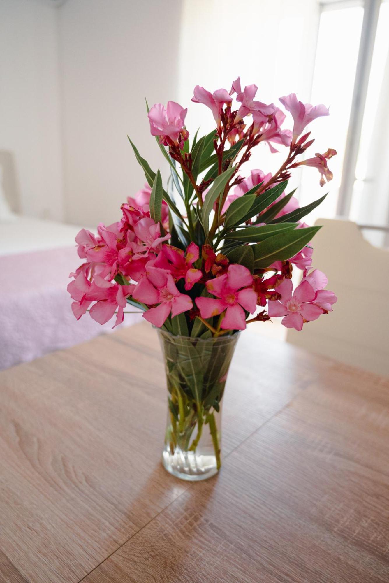 Apartment Natalija 4 Stars Mrljane